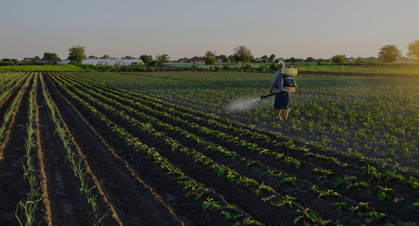 Mahamaya farmer partner in the field