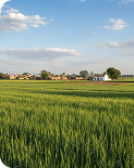 HARYANA
