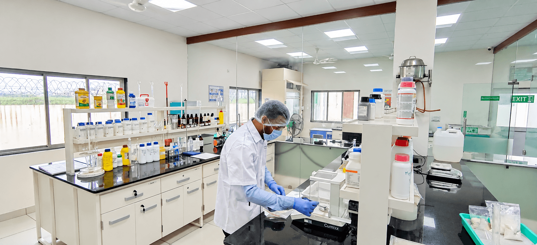 Scientist analysing crop samples in a research laboratory