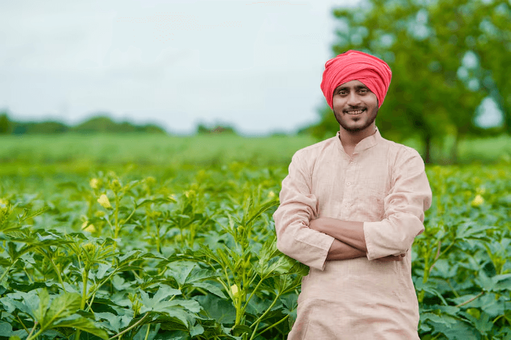 Farmer standing in a green field